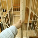 Жителя Княжпогостского района отправили в колонию за убийство брата